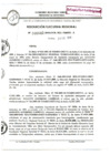 Vista preliminar de documento Res_Eje_Reg_N042_28ene_2010