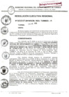 Vista preliminar de documento Res_Eje_Reg_N047_29ene_2010