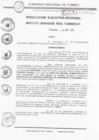 Vista preliminar de documento Res_Eje_Reg_N291_06Abr_2010