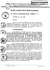 Vista preliminar de documento Res_Eje_Reg_N413_30Abr_2010
