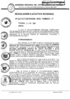 Vista preliminar de documento Res_Eje_Reg_N415_30Abr_2010