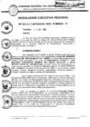 Vista preliminar de documento Res_Eje_Reg_N417_30Abr_2010