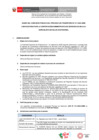 Vista preliminar de documento BASES CAS N° 11-2024-ANIN