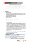 Vista preliminar de documento BASES CAS N° 10-2024-ANIN