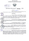 Vista preliminar de documento Resolución Directoral. N° 0133 - 2024 