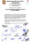 Vista preliminar de documento Acta designación de secretaría técnica codisec