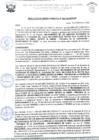 Vista preliminar de documento rgm 1000