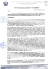 Vista preliminar de documento rgm 1001