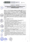 Vista preliminar de documento 035-2020-PRONIS