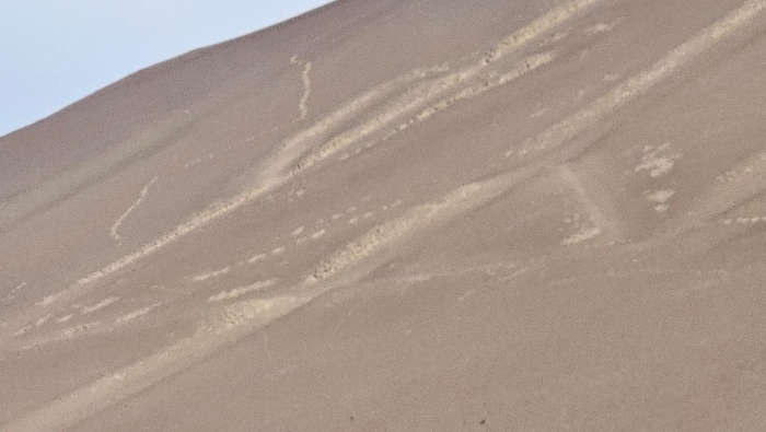 Ministerio de Cultura denuncia afectación al Candelabro de Paracas