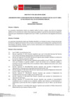 Vista preliminar de documento Anexo N° 01 - Lineamientos