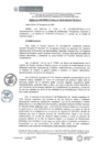Vista preliminar de documento RESOLUCIÓN DIRECTORAL0049-2022  - Comité de Gobierno y Transformación Digital (1)