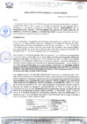 Vista preliminar de documento rgm 1033