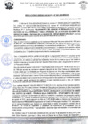 Vista preliminar de documento rgm 1041
