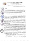 Vista preliminar de documento RA 293