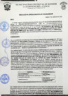 Vista preliminar de documento rgm 1050