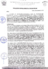 Vista preliminar de documento rgm 1055