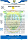 Vista preliminar de documento rgm4_compressed