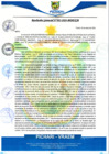 Vista preliminar de documento rgm5