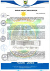 Vista preliminar de documento rgm6_compressed