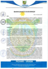 Vista preliminar de documento rgm10_compressed