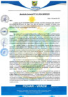 Vista preliminar de documento rgm13_compressed