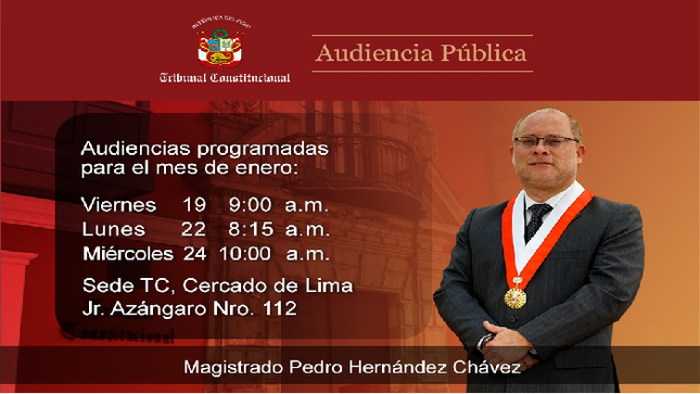 Magistrado del TC Pedro Hernández escuchará los informes orales de abogados en 20 causas en tres audiencias públicas