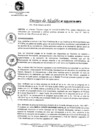 Vista preliminar de documento DA_026-2019-MPV