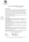 Vista preliminar de documento DA_013-2019-MPV