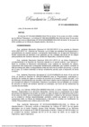 Vista preliminar de documento RD 011