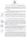 Vista preliminar de documento RESOLUCION GERENCIAL SUB REGIONAL N°587-2023