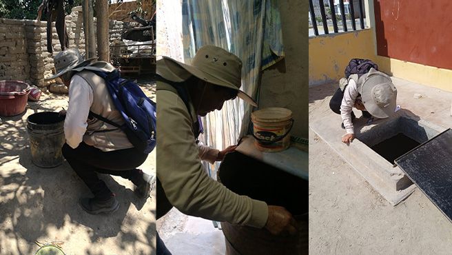 Ica: más de 7000 viviendas de Chincha serán inspeccionadas para evitar la proliferación del zancudo que transmite el dengue