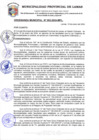 Vista preliminar de documento Ordenanza N°003-2024