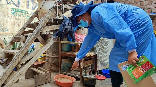 Minsa intervino 2000 viviendas del distrito de Pachacámac para erradicar al zancudo transmisor del dengue