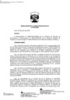 Vista preliminar de documento RDE 9 ROGGER INCIO DIRECTOR DE PROYECTO CONCESIONES MINERAS
