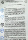 Vista preliminar de documento rgm 1095