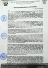 Vista preliminar de documento rgm 1099
