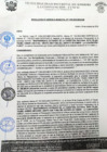 Vista preliminar de documento rgm 1100