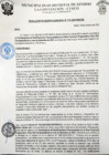 Vista preliminar de documento rgm 1101