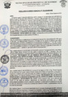 Vista preliminar de documento rgm 1102