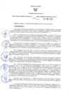 Vista preliminar de documento RER N°032-2024-GR