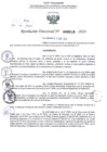 Vista preliminar de documento Resolución Directoral. N° 0216 - 2024