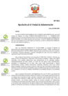 Vista preliminar de documento RUA 011-2024