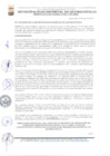 Vista preliminar de documento Ord001-2024