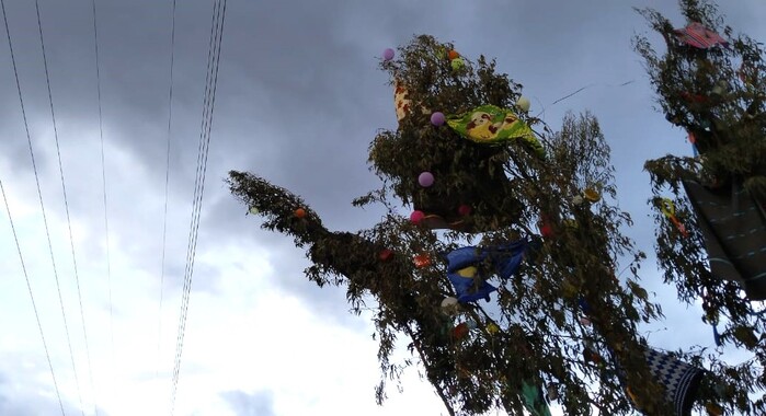 Electrocentro detecta riesgo en cortamonte y evita corte de energía que hubiera afectado a miles de usuarios