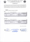 Vista preliminar de documento fe de erratas