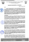 Vista preliminar de documento RGM 1154