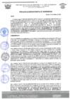Vista preliminar de documento RGM 1166