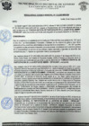 Vista preliminar de documento rgm 1174