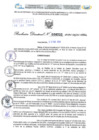 Vista preliminar de documento Resolución Directoral. N° 0225 - 2024 